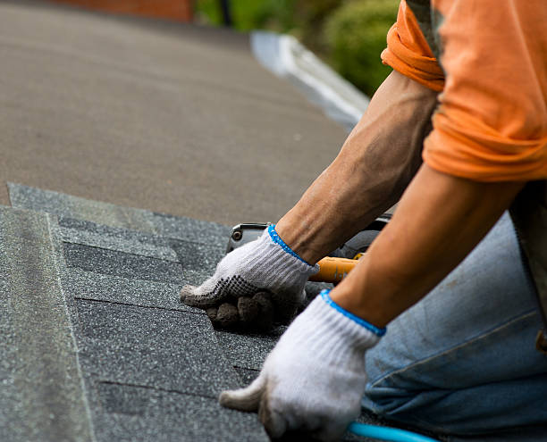 Best New Roof Installation  in Gladwin, MI